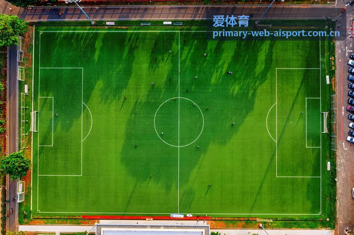 爱体育防滑竞技鞋垫评测